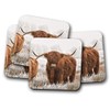 4 Set - Highland Cow Coaster - Cattle Scotland Hairy