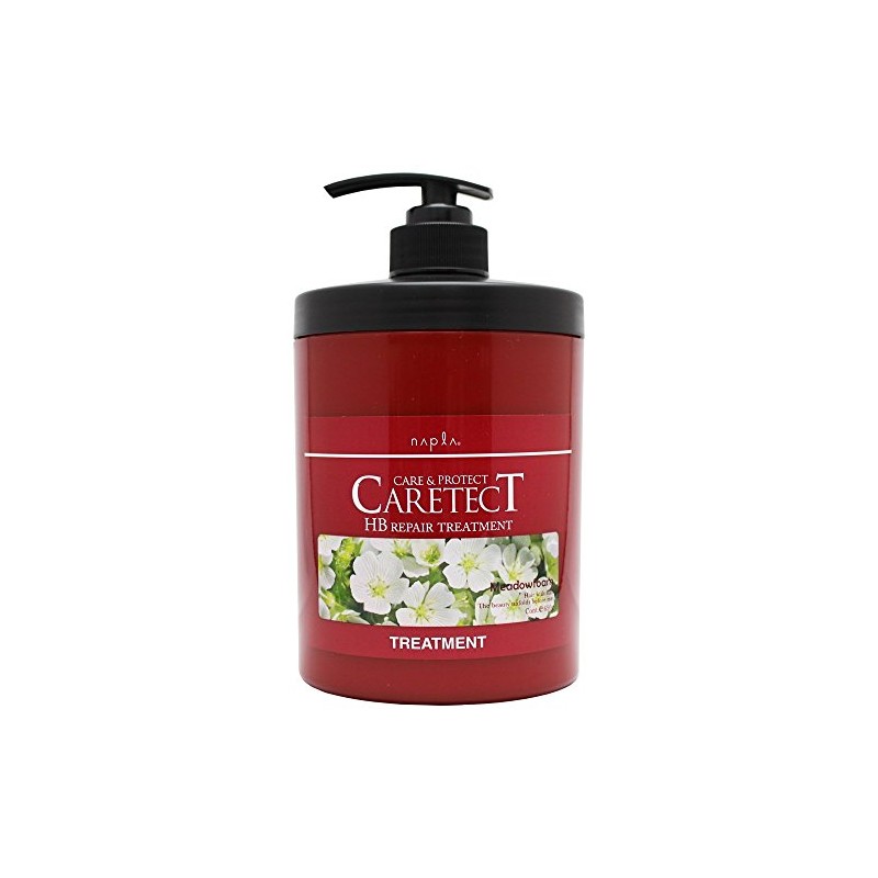 NAPLA CARETECT HB Repair Treatment 650g 8.82oz