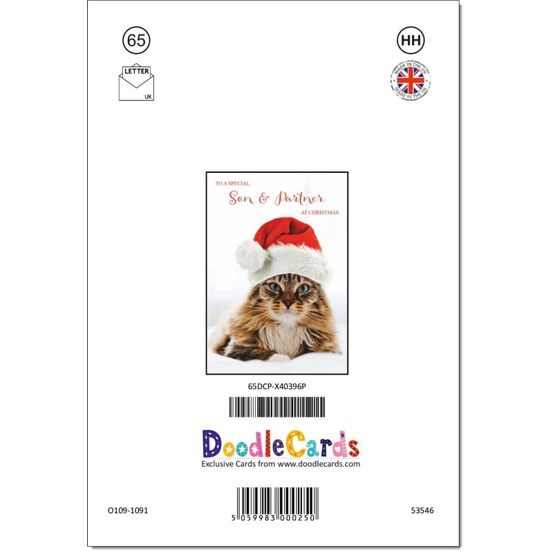 doodlecards Son and Partner Christmas Card Cat with Santa Hat