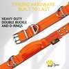 ADITYNA Heavy Duty Dog Collar for Extra-Large Dogs - Reflective
