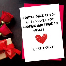 Funny Valentine's Day Card, Rude Humour Design, Premium Cardstock, Blank Interior (I often gaze at you when you're not looking)