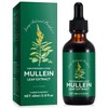 Mullein Drops for Lungs 60 ml - Mullein Leaf Extract