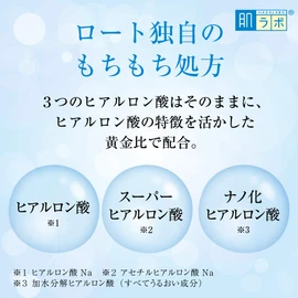 Hada Labo Gokujun Lotion Set of 2 + Bonus 6.1 fl oz (170 ml) (x 2)