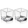Viski Braque Rocks Short Glass Set - Old Fashioned Glass