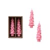 Creative Co-Op Unscented Textured Tree Shaped Taper Candles in Box,