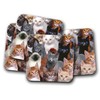 4 Set - Cute Kittens Coaster - Cats Animal Mum