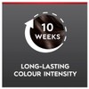 Schwarzkopf Brilliance 88 Dark Brown Allure