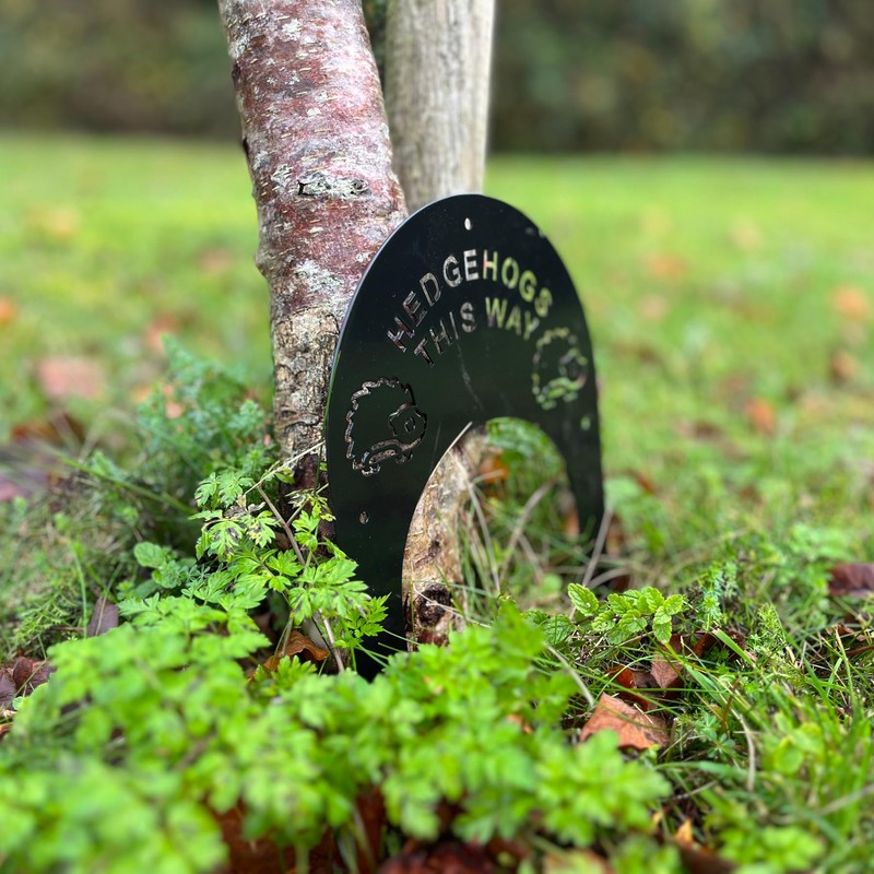 Selections Hedgehog Highway Fence Gates (Pack of 2)