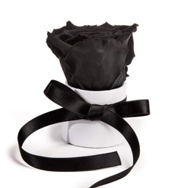 ROSEMARIE SCHULZ Heidelberg Small Rose Box White Round Infinity Rose Flower Box 1 Preserved Rose (White/Black)