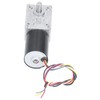 DC Brushless Worm Gear Motor High Torsion Low Noise Turbine