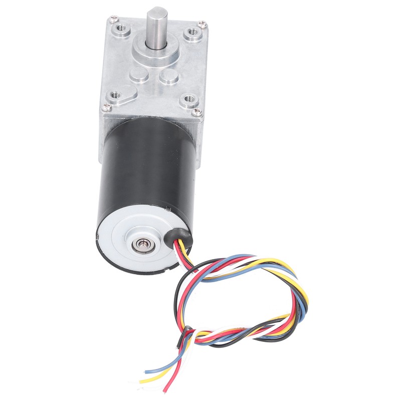 DC Brushless Worm Gear Motor High Torsion Low Noise Turbine