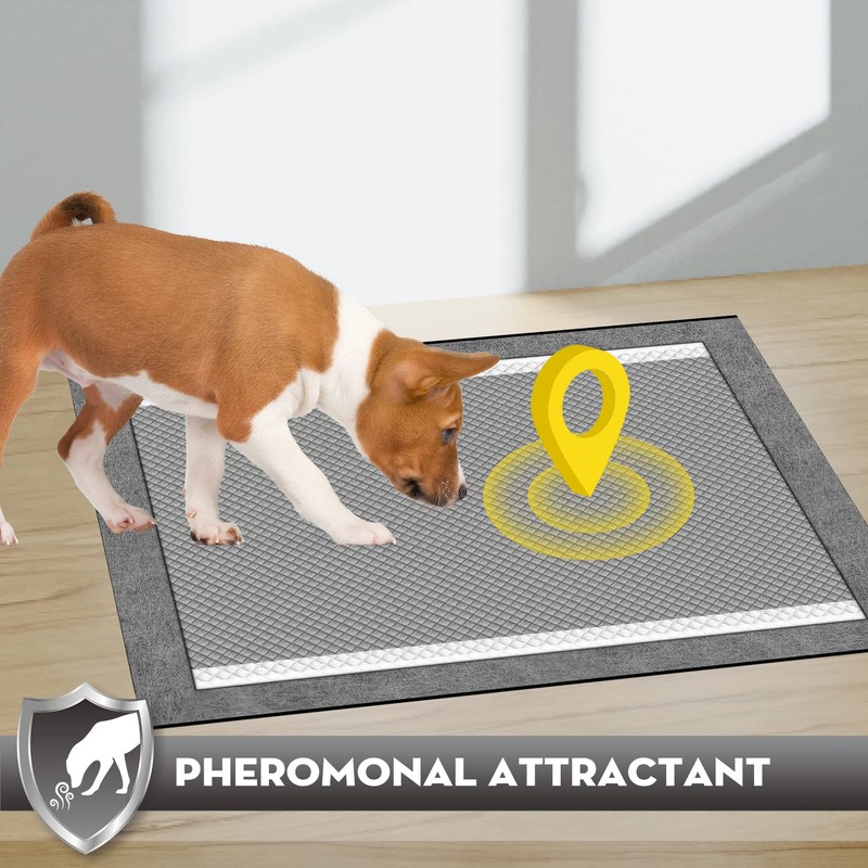 CROCI 36"x36" 3XL Activated Carbon Pee Pads for Dogs, Odor-Control