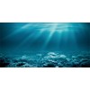 MIRRORANG 76 x 46 cm Underwater Theme Aquarium Background Sunshine