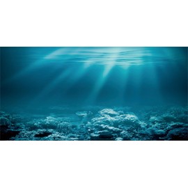 MIRRORANG 76 x 46 cm Underwater Theme Aquarium Background Sunshine Underwater World Aquarium Poster Background Vinyl Background