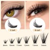 QUEWEL Lash Clusters 240Pcs Individual Lashes 40D+50D D Curl 8-14mm
