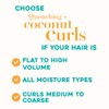 OGX Coconut Curls Shampoo, 25.4 fl oz