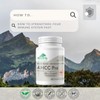 Provita AHCC Pro™ - Powerful Antioxidant with Unique Synergistic Formula