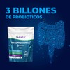 Lactowise Pre Probióticos Cápsulas Solo Una Cápsula Día Marca Patentada
