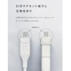 CIO USB-C Straight to Magnetic Converter Adapter