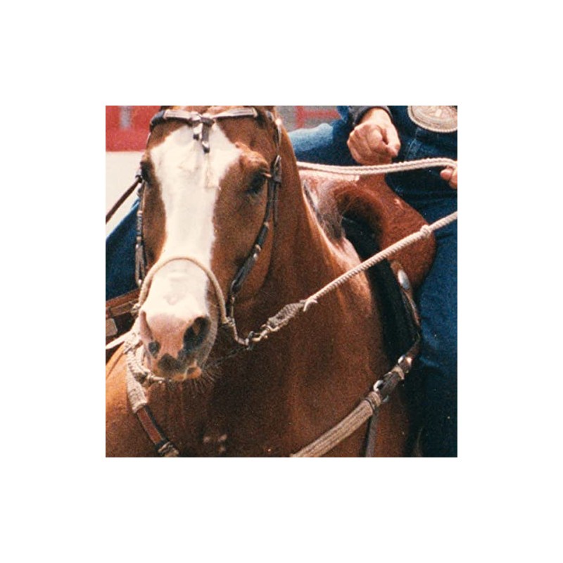 Classic Equine Bozo Sidepull Hacakmore