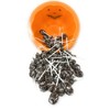 Chocolate Pops Bulk Candy 50+ Count Lollipops Suckers Variety Brown