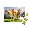 puzzleYOU: Puzzle 48 Piece "Curious Cows on the Eng Alm
