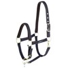 Horse Halter for Goleygo System, Brown/Light Blue, Cob