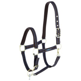 Horse Halter for Goleygo System, Brown/Light Blue, Cob