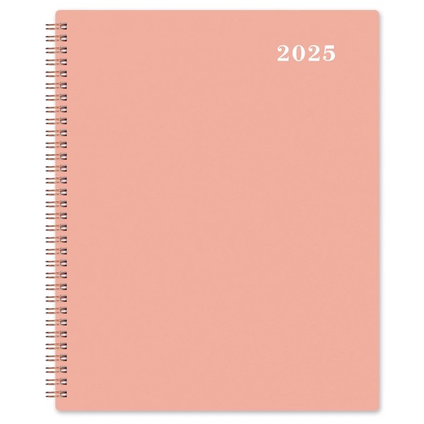 2025 Monthly Planner - JAN - DEC 2025 Planner 9"