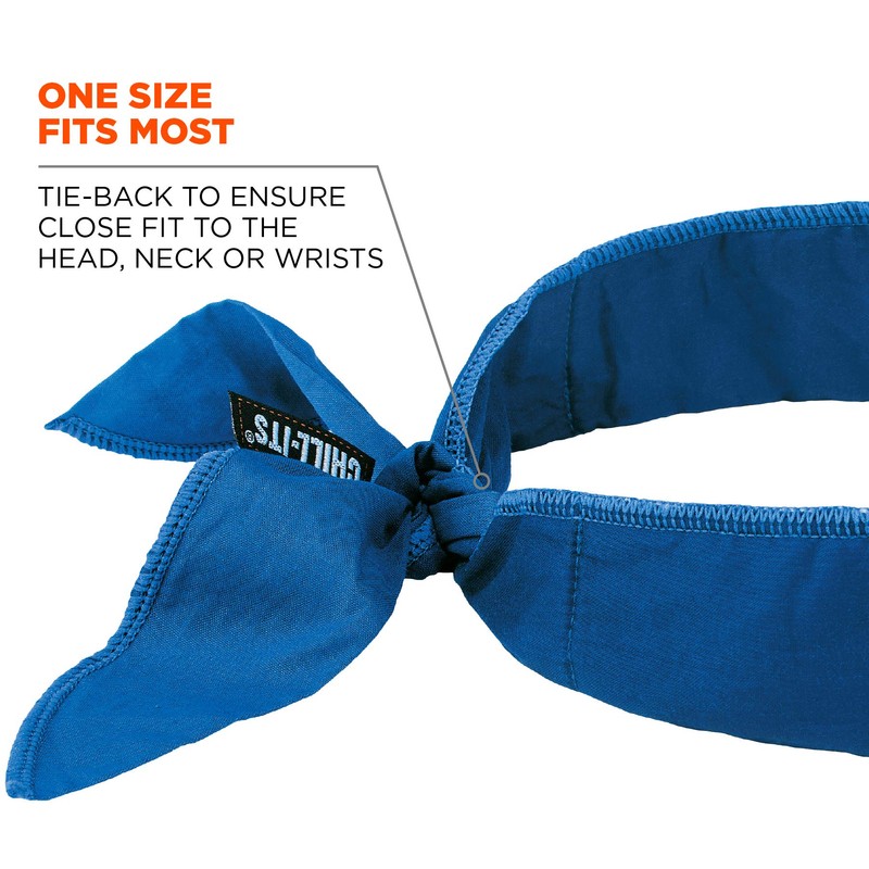 Ergodyne - 12399 Chill-Its 6702 Cooling Bandana, Evaporative Polymer Embedded