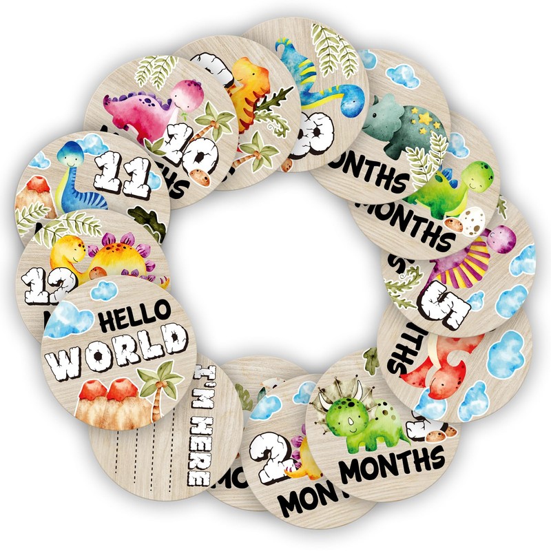 Dinosaur Baby Monthly Milestone Circles, Baby Months Wooden Disc Stuff