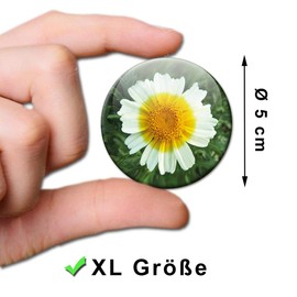 Fridge Magnets Flowers Splendour Decorative Gift Set Magnets Flowers for Women Girlfriend Flower Lovers Strong Large 50 mm Round Colourful