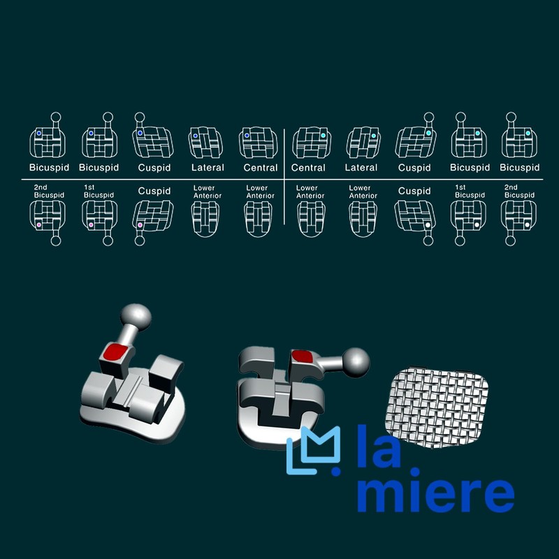 20PCS Orthodontic Mini Roth Brackets Roth 0.022 Slot Bondable with