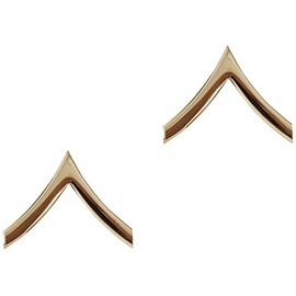 Rothco Polished Private Insignia