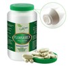 Vitaide Vegan® psyllium husks (Plantago ovata Forssk), 90 vegetable capsules,