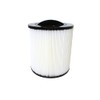 Filter To Suit Canadian Spas Fresh Water Wonky Thread Filter