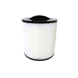 Filter To Suit Canadian Spas Fresh Water Wonky Thread Filter SC846 - CD18M