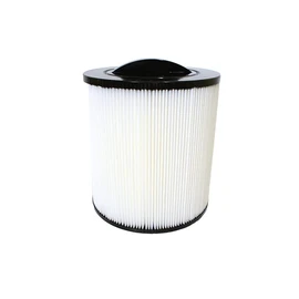 Filter To Suit Canadian Spas Fresh Water Wonky Thread Filter SC846 - CD18M