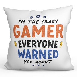 MUGFFINS GAMER Cushion Padding included - in English - Everyone warned you about - Funny gift - Pillow: cover and filling 15.7x15.7 inches