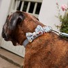 Pet Brands Cath Kidston Dog Bow Tie Collar, Leather Dog