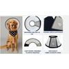 Questore Soft Dog/Cat Cone Collar Adjustable, Durable, Washable, After Surgery,