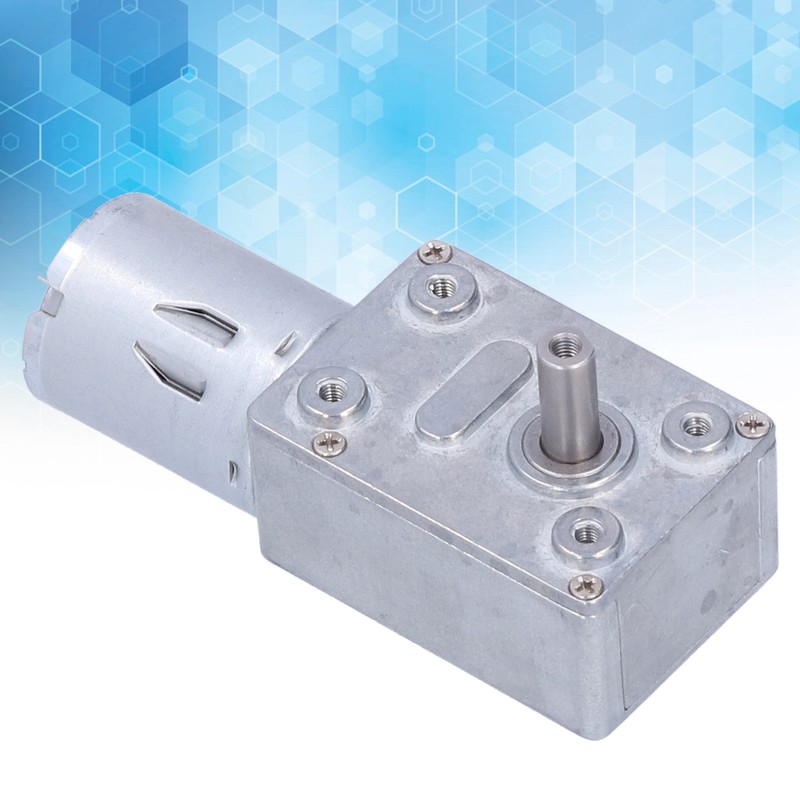 DC 24V Worm Gear Motor with Governor High Torsion Mini