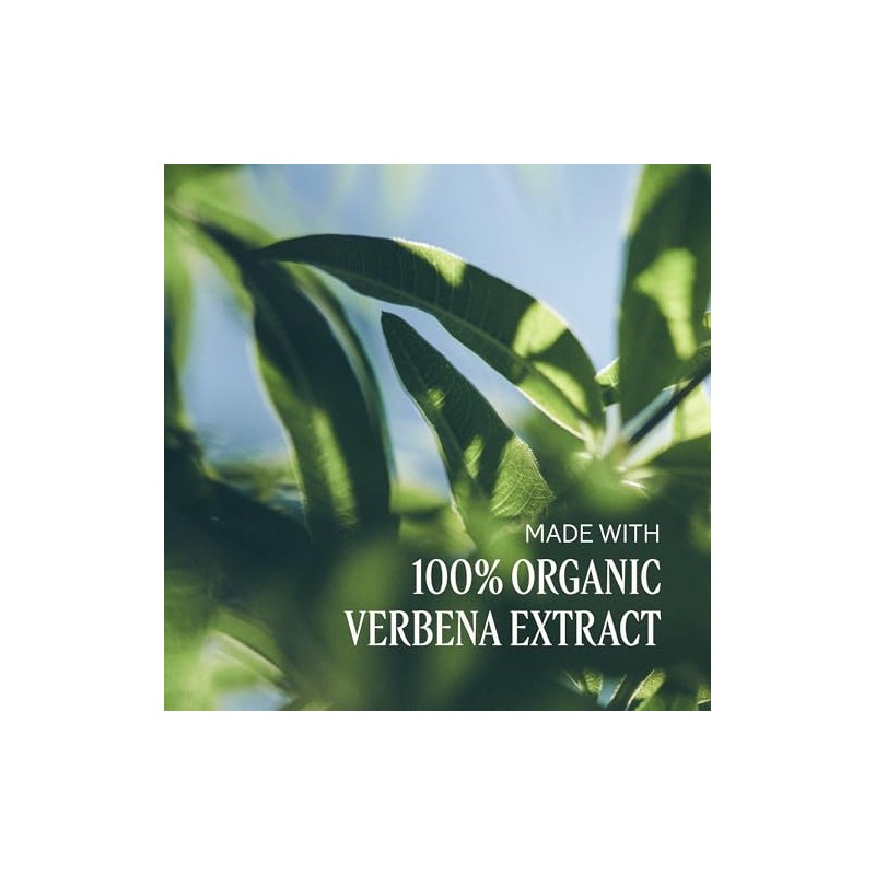 Loción Hidratante Manos Cuerpo Verbena Karité Occitane 300ml