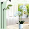Orchid Sticks 17 inch &11 inch SupKing 16Pcs Plant Stakes
