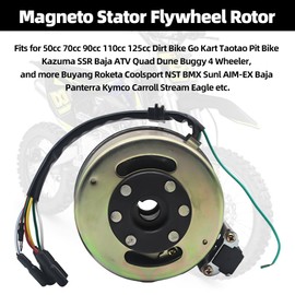 CADICATV Magneto Flywheel Stator Kit Assembly Fits for 50cc 70cc 90cc 110cc 125cc Dirt Bike Go Kart Taotao Pit Bike Kazuma SSR Baja ATV Quad Dune Buggy 4 Wheeler