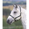 Shires Ragley Lined Leather Headcollar: Black: Small Pony