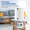 2 Pack Max/Mage/Mage Pro Replacement Filter Compatible with Afloia MAX/MAGE/MAGE