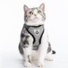 PUPTECK Cat Harness and Lead Set Escape Proof Reflective Cat