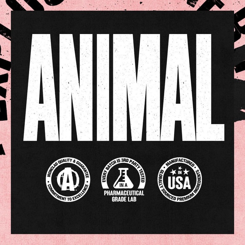 Animal 100% Whey Protein Powder – Whey Blend for Pre
