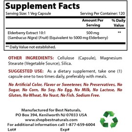 Best Naturals Elderberry Sambucus Nigra 5000mg Equivalent 120 Veg Capsules